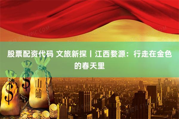 股票配资代码 文旅新探丨江西婺源：行走在金色的春天里